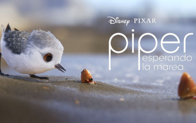 Piper y el Arte de la Observación: Una Reflexión desde el Mindfulness