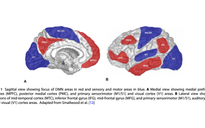 Explorando la Frontera Cerebral: Tendencias y Desafíos en la Investigación EEG sobre la Meditación y el Mindfulness