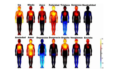 El Cuerpo Habla: Conecta con las Emociones a Través de las Sensaciones