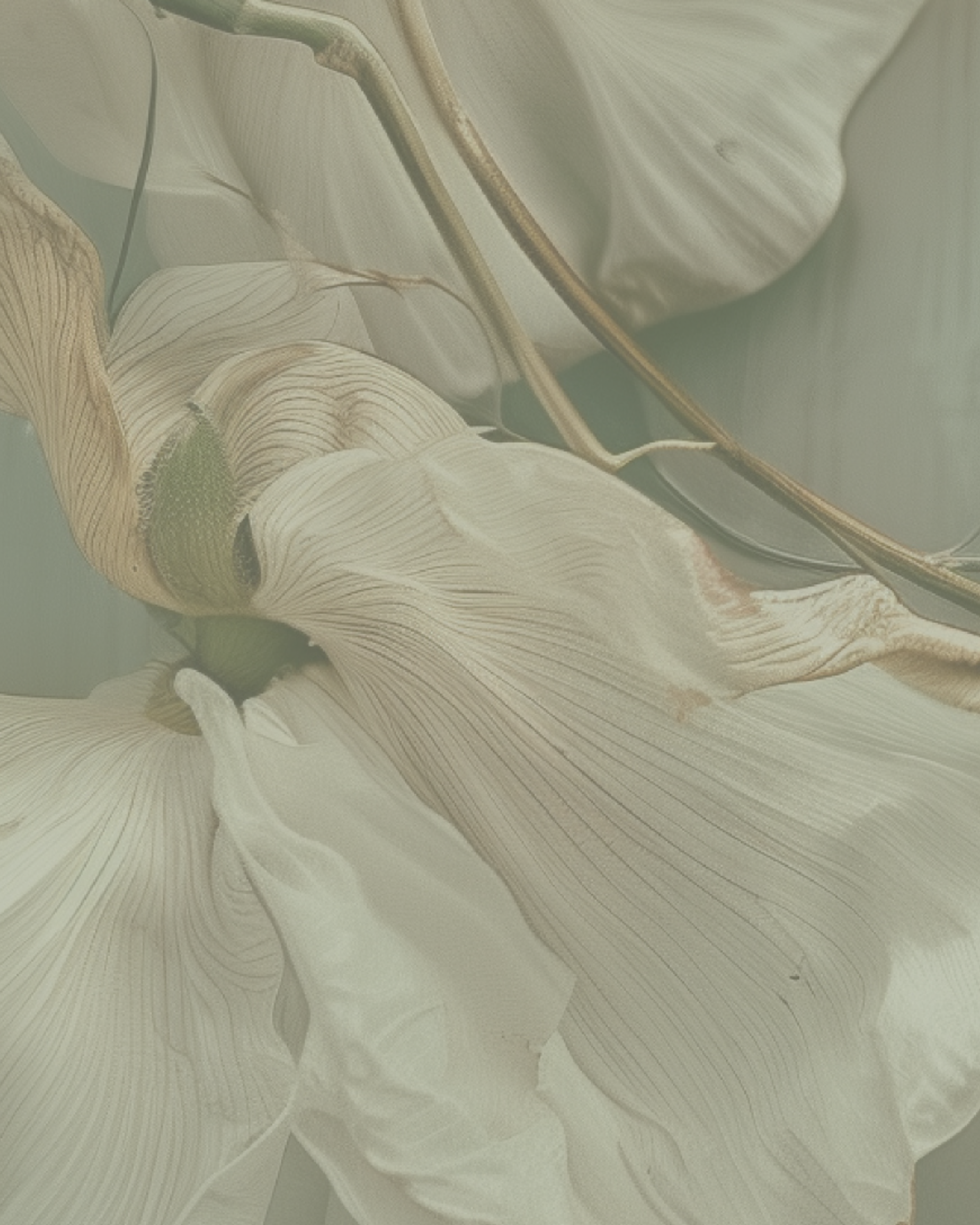 Carousel-3. Post-2